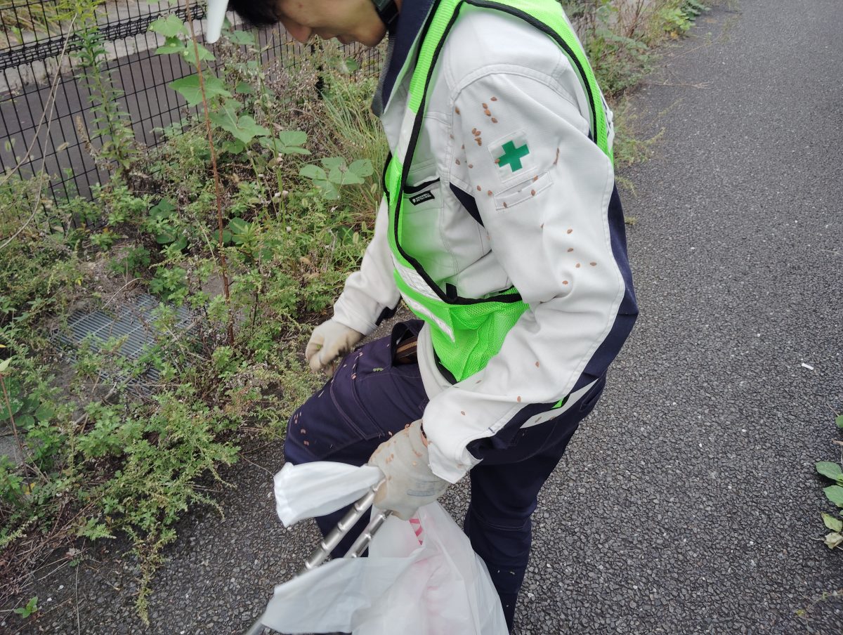 道路美化ボランティア活動に参加しました！