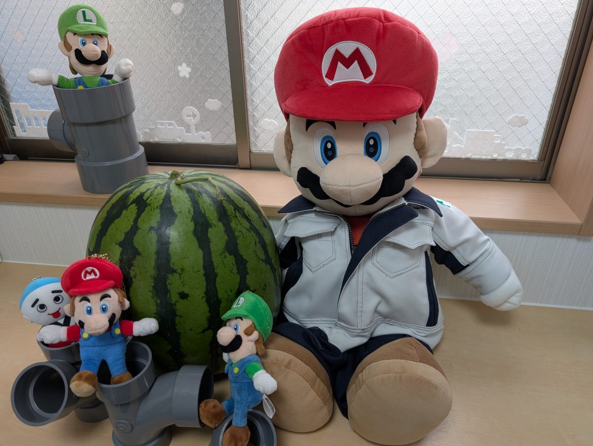 ご近所様からスイカをいただきました！〔マリオと西瓜と愉快な仲間たち🍉〕